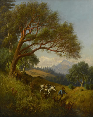 Traveler in the woods