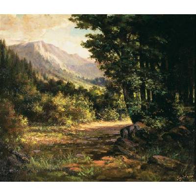 Sunlight on a Wooded Path