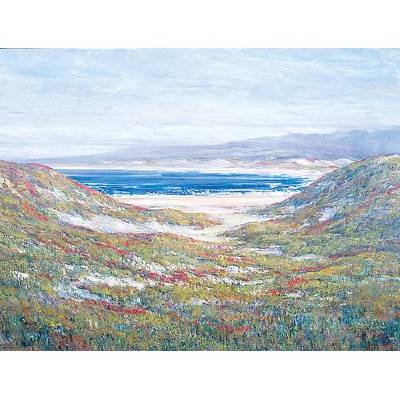 Wildflowers on the Dunes