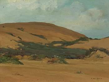 Monterey Dunes