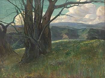 Trees on a Ridge Full of Wildflowers by Maurice Del Mue - Auction record, sale price, and art valuation. Compare with similar artists and explore comparable artworks.