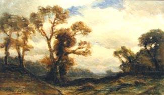 Depicting a wooded landscape