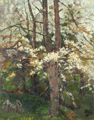 Blossoming trees