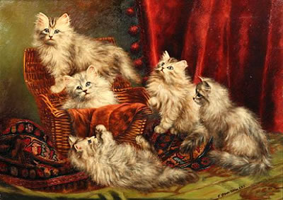 Kittens playing