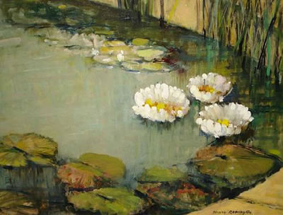 Waterlilies in the pool