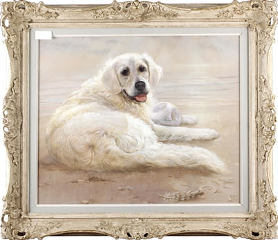"Jenny", a golden retriever on a beach