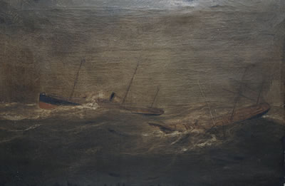 Portrait of the Kerry Blue International Ch. 'Blue Sensation' in a landscape