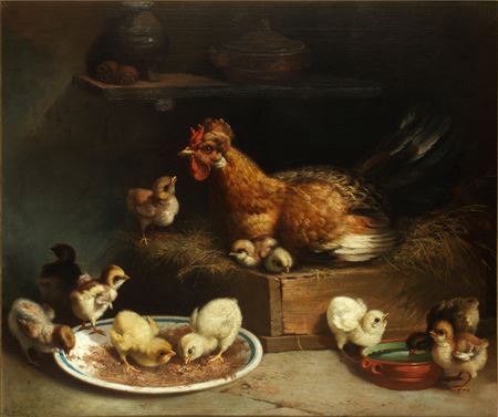 Hen with her chicks