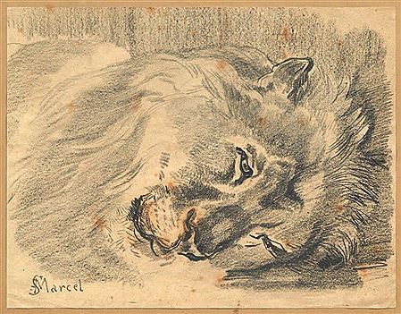 Tête de lion