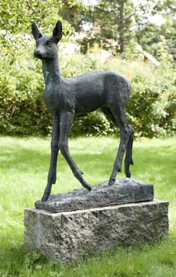 Rådyr
