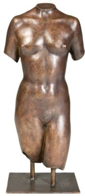 Torso