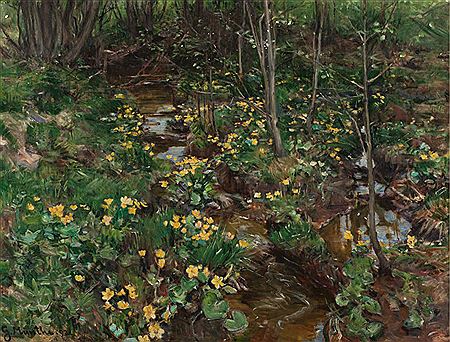 Bekkeblom, 1892