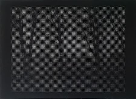 "Black trees through perspective I" 2003