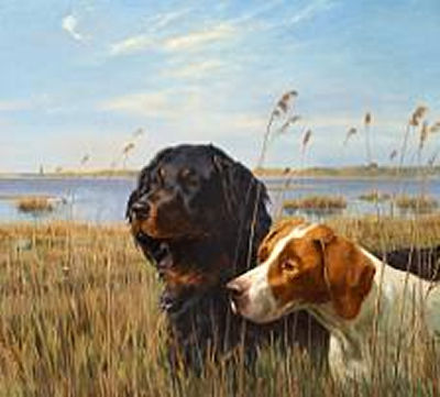 Two Dogs are Hunting in the Rushes