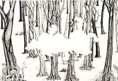 The return of the white rabbit I