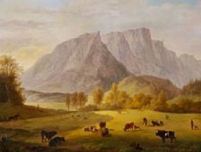 Cows in a meadow in the Alps