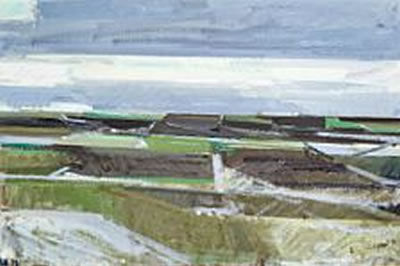Field scenery, winter