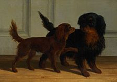 Two dogs