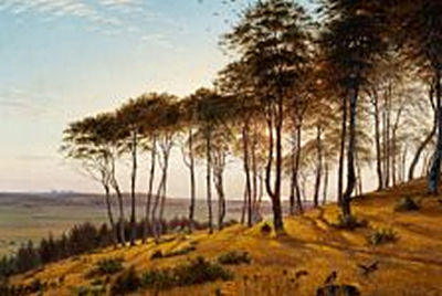 Sunshine through the trees, Vinderød Forest by Claus Anton Kolle - Auction record, sale price, and art valuation. Compare with similar artists and explore comparable artworks.