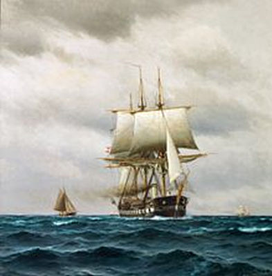 Seascape with the Danish frigate "Jylland"