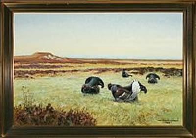 Landscape with black grouses