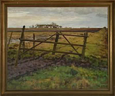Landscape with fields and gate