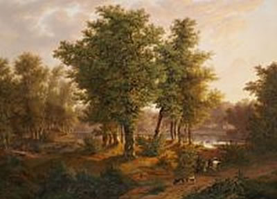 Forest scene at Bregentved