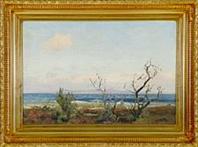 Coastal scene