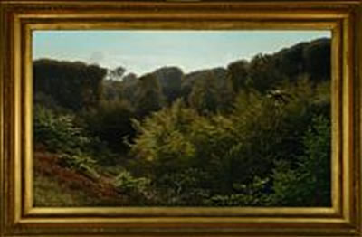 Forrest scenery with fox and Kite
