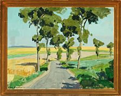 Fields, summer