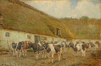 Cattle in the yard