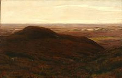 Moor landscape with grazing sheep