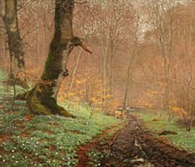 Early spring day in a forest.