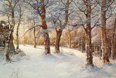 Sunny day in the woods, winter.