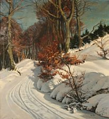 Winter day on a forest road in Munkebjerg, Denmark.