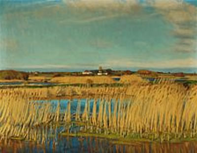 Danish landscape with rushes, in the background houses.