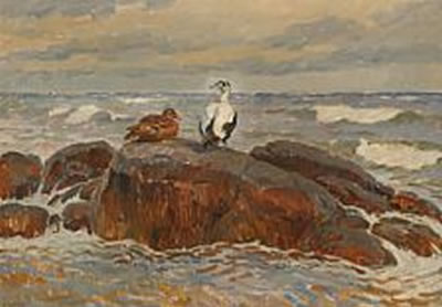 Coastal scene with an eider duck and a duck on a rock by Victor Johansen - Auction record, sale price, and art valuation. Compare with similar artists and explore comparable artworks.