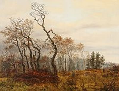 Quiet day in a autumn forest glade.