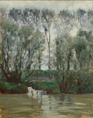 Tall trees by a river.