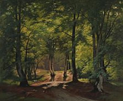 Forest scene from The Deer Garden, Denmark.