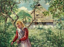Girl picking flowers