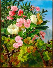 "Nerier og Magnolier". Motiv fra Cadenabia at Comosøen. Oleanders and magnolias. Motif from Cadenabia, Lake Como. by Antonore Christensen - Auction record, sale price, and art valuation. Compare with similar artists and explore comparable artworks.