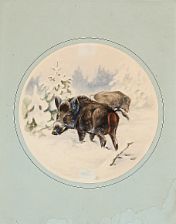 A collection of twelve animal sceneries