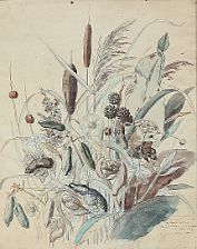 Two compositions with flowers, snails and dragonflies by Kristian Mohl-Hansen - Auction record, sale price, and art valuation. Compare with similar artists and explore comparable artworks.