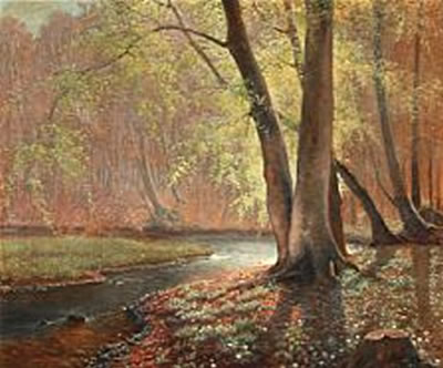 Forest scene with a stream.