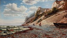 Summer day at the Cliffs of Møn.