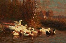 Ducks at a lake. by Gustav Mesmer - Auction record, sale price, and art valuation. Compare with similar artists and explore comparable artworks.