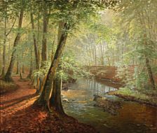 Forest scene with a stream.
