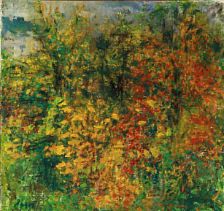 Autum forest