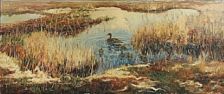 A duck with ducklings in a pond